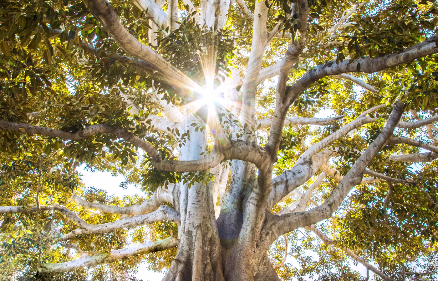 Ресурс для основателя